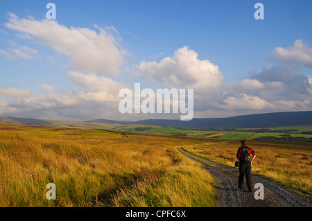 Walker sur Ward's Stone, dans la forêt de Bowland AONB Banque D'Images