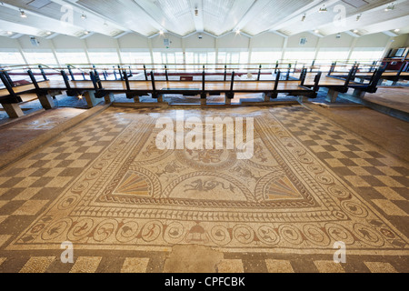 L'Angleterre, West Sussex, Chichester, Fishbourne Roman Palace, le cupidon, sur une mosaïque de Dauphin Banque D'Images