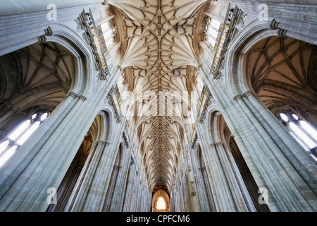 L'Angleterre, dans le Hampshire, Winchester, Winchester Cathedral Banque D'Images