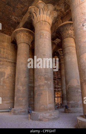 De magnifiques colonnes hautes de temple Khnoum,Esna, Egypte Banque D'Images