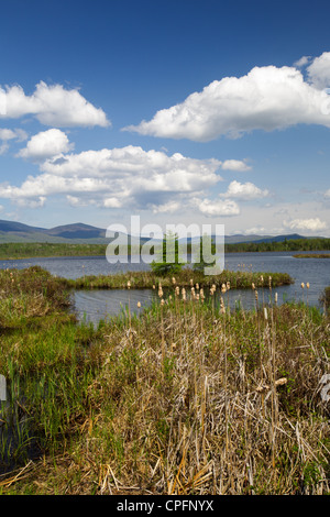 Pondichéry - vue panoramique le long de la gamme présidentielle Rail Trail / Sentier Cohos Evamy dans Jefferson, NH Banque D'Images