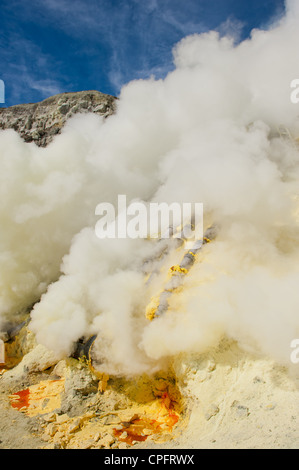 L'extraction du soufre, le volcan Kawah Ijen, Java, Indonésie Banque D'Images