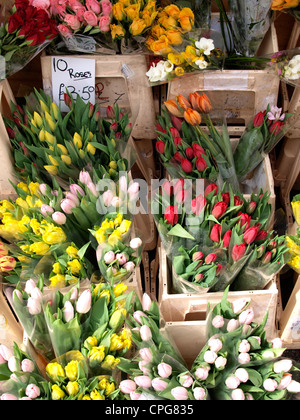 Fleurs à vendre au marché de Cambridge, Royaume-Uni Banque D'Images