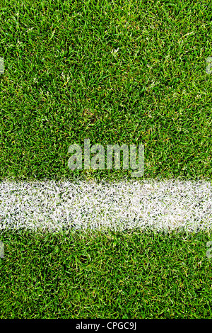 Close-up fermé d'une surface de terrain de soccer Banque D'Images