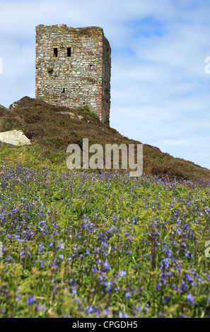 Watch Tower ou tour maison sur l'Ailsa Craig île dans l'estuaire de la Clyde en Écosse de l'ouest Banque D'Images