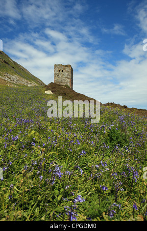 Watch Tower ou tour maison sur l'Ailsa Craig île dans l'estuaire de la Clyde en Écosse de l'ouest Banque D'Images