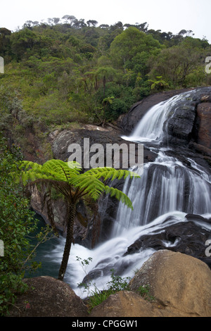Baker's Falls, parc national de Horton Plains, le Sri Lanka, l'Asie Banque D'Images