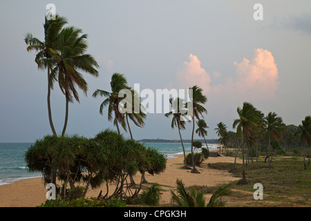 La plage de Nilaveli, Trincomalee, Sri Lanka, Asie Banque D'Images