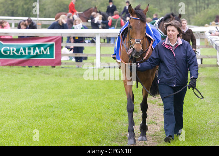 Chevaux de course dans le ring avant une course d'obstacles en Angleterre Banque D'Images