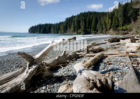 China Beach, parc provincial Juan de Fuca, l'île de Vancouver, BC, Canada Banque D'Images