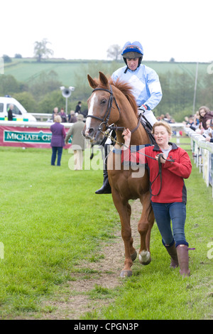 Chevaux de course descendre vers la ligne de départ d'une course en Angleterre Banque D'Images