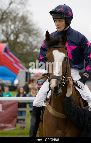 Chevaux de course descendre vers la ligne de départ d'une course en Angleterre Banque D'Images