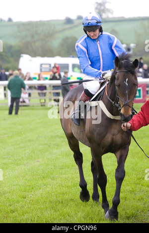 Chevaux de course descendre vers la ligne de départ d'une course en Angleterre Banque D'Images