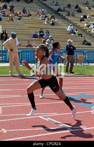 Le sprinteur américain Allyson Felix avec baton dans la main s'exécutant dans une course de relais sur un circuit de champ et rencontrez dans Drake Stadium UCLA Banque D'Images