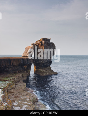 Pulpit Rock dans le Dorset. Banque D'Images