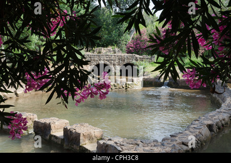 Moulin à farine à Jordan park. Mer de Galilée. Israël. Banque D'Images