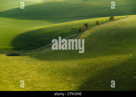 Matin de printemps dans le parc national des South Downs, East Sussex, Angleterre. Banque D'Images