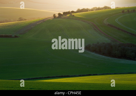 Le Parc National de South Downs, East Sussex, Angleterre. Banque D'Images