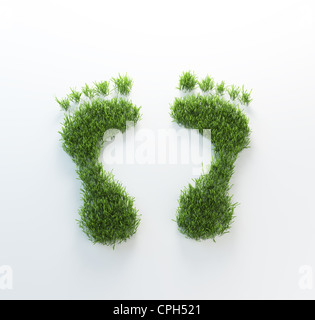 Footrpints environmentla herbe - concept de l'empreinte Banque D'Images