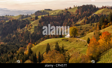 Ferme, ferme, Emmental, automne, automne, feuillage de l'automne, paysage vallonné, l'été indien, dans le canton de Berne, paysage, pâturage, Lüdere Banque D'Images