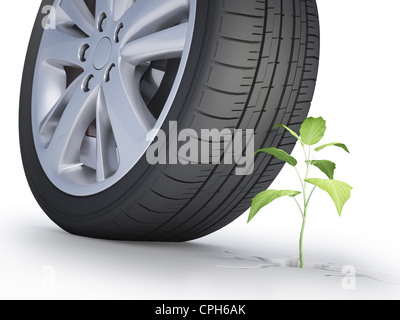 Roue de voiture à côté d'une petite plante verte d'une fissure dans le sol Banque D'Images