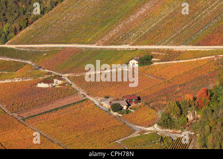 Culture, Eringer, vallée, automne, of Euseigne couleur Automne, couleurs de l'automne, de l'agriculture, le motif, la nature, les vignobles, les vignes t Banque D'Images