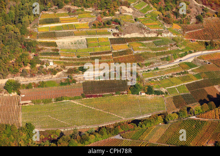 Culture, Eringer, vallée, automne, of Euseigne couleur Automne, couleurs de l'automne, de l'agriculture, le motif, la nature, les vignobles, les vignes t Banque D'Images