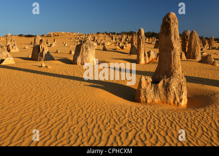 Pinnacles, Australie, le parc national de Nambung,, l'ouest de l'Australie, le calcaire spires, falaise, formation, géologie, desert, bizarre, eros Banque D'Images