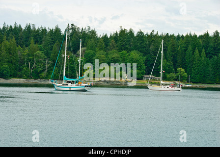 La pêche au saumon,avril,Point,l'île Quadra célèbre pêche du saumon quinnat, Campbell River, Vancouver Island, British Columbia, Canada Banque D'Images