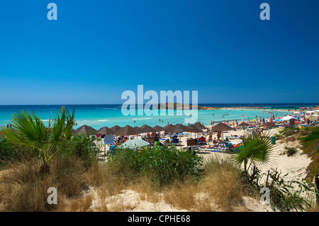 Le sud de Chypre, Chypre, Europe, grec, d'Ayia Napa, Ayia Napa, plage de sable fin, les plages de sable, plage, mer, plages, côtes, littoral, Banque D'Images