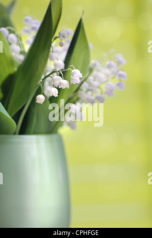 Le bouquet de lis de la vallée en face de vert Banque D'Images