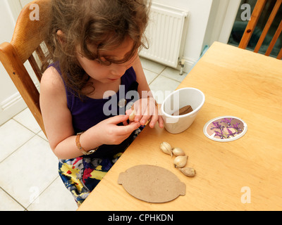 Jeune fille la plantation Dutch Iris bulbes dans un pot Banque D'Images