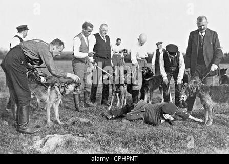 Formation avec medic chiens, 1914 Banque D'Images