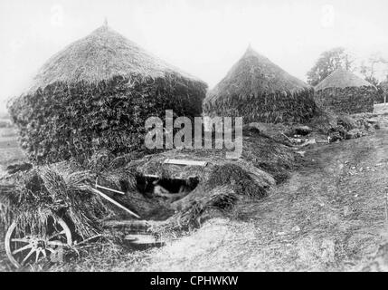 Canons allemands camouflés sur le front occidental pendant la Première Guerre mondiale Banque D'Images