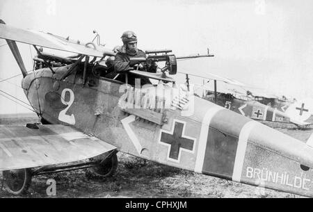 Avions d'attaque au sol allemand au front occidental pendant la Première Guerre mondiale Banque D'Images