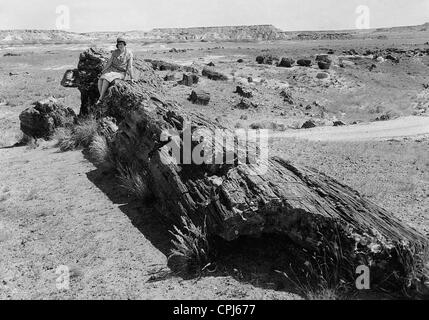Petrified Forest National Park en Arizona, 1929 Banque D'Images