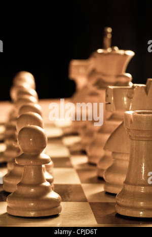 Pièces des échecs sur l'échiquier Banque D'Images