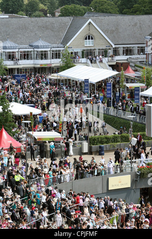 Vue du cheval de course d'Ascot, UK Banque D'Images