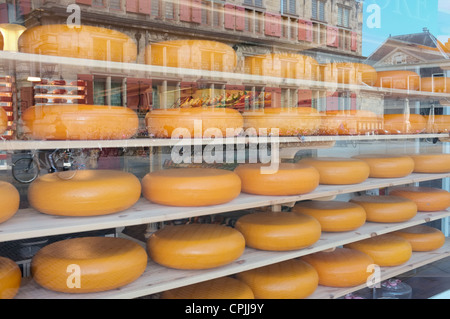 Vitrine de fromages hollandais traditionnel Banque D'Images