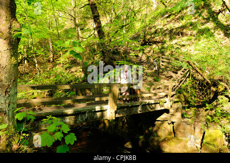 Padley Gorge Derbyshire en Angleterre. Banque D'Images