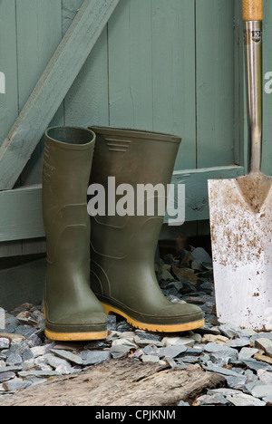 Paire de bottes wellington vert et un chat à l'extérieur un abri de jardin. Banque D'Images