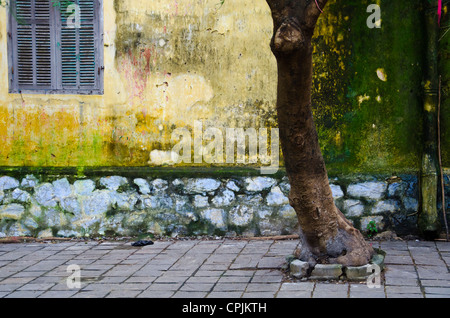 Détails extérieurs de Hoi An au Vietnam. Les maisons jaunes dans Hoi An sont une partie du patrimoine mondial de l'Unesco. Banque D'Images