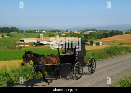 Buggies Mennonite sur route près de Dayton dans la vallée de Shenandoah, en Virginie, USA Banque D'Images