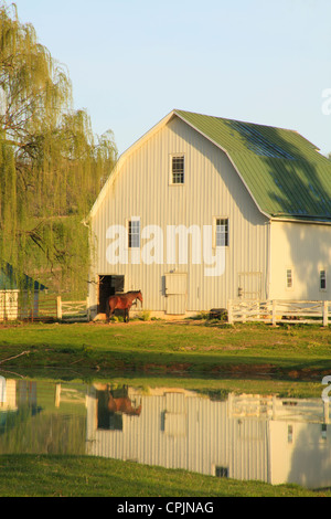 L'réchauffement dans le Lever du Soleil Soleil sur ferme près de Middlebrook dans la vallée de Shenandoah, en Virginie, USA Banque D'Images