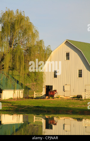 L'réchauffement dans le Lever du Soleil Soleil sur ferme près de Middlebrook dans la vallée de Shenandoah, en Virginie, USA Banque D'Images