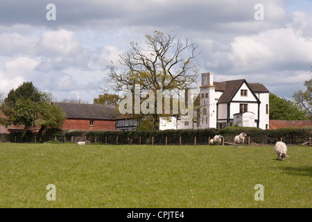 Une image prise à Boscobel House, Shropshire, où le roi Charles II d'hid un chêne pour échapper à des parlementaires. Banque D'Images