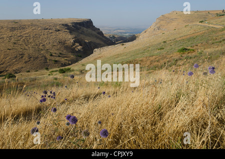 Mont Arbel, Au-dessus de la mer de Galilée. Israël. Banque D'Images