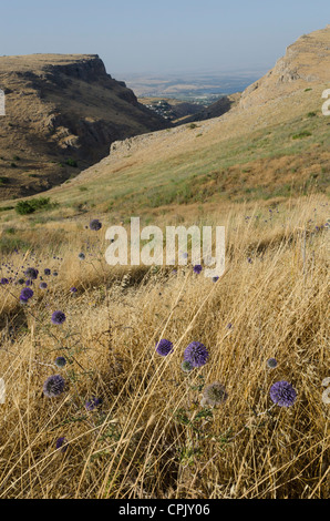 Mont Arbel, Au-dessus de la mer de Galilée. Israël. Banque D'Images