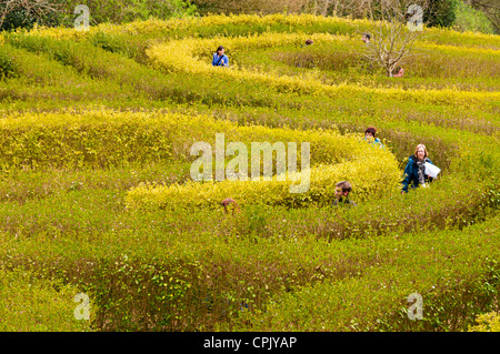 En labyrinthe Jardin Rococo, Painswick, Gloucestershire, Royaume-Uni Banque D'Images