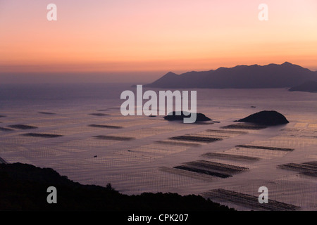 Vue aérienne de la plage boueuse et algues le long de la ferme est de la mer de Chine à l'aube, Xiapu, Fujian, Chine Banque D'Images